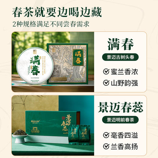 【回家之旅专享】2024年回家之旅纪念茶满春+0085小胖饼+001小胖饼+景迈春蕊+岩冷茶祖民族布袋景迈古树普洱茶春茶生茶熟茶散茶587g 商品图2