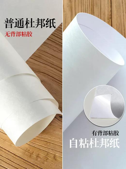 背胶国产杜邦纸 商品图3