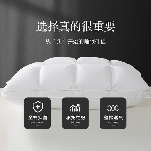 杞冠臻选 | 博洋生活 奢雅星级面包枕 48*74cm 抑菌枕头 单只 商品图1
