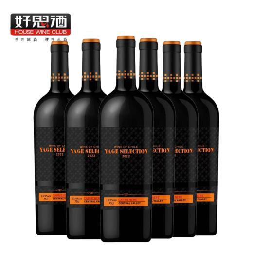 智利中央山谷精选佳美娜干红葡萄酒六支装750ml*6 商品图0