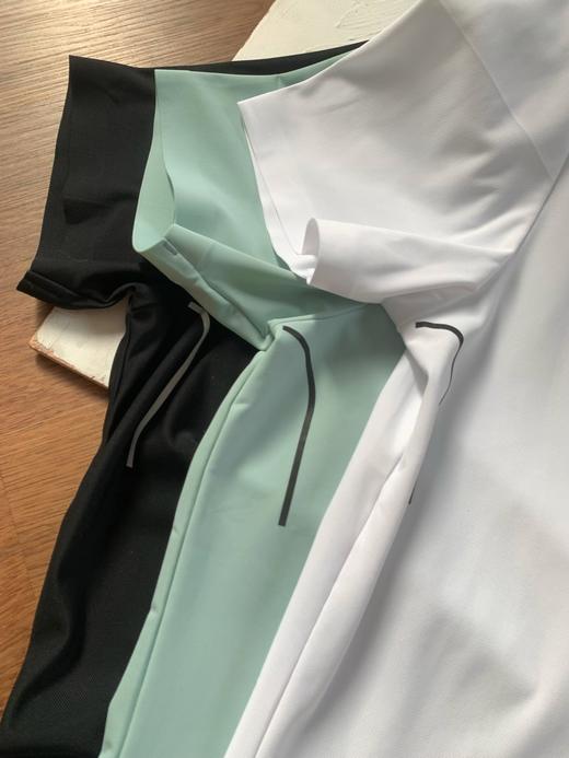 点此购买 迪桑特夏季桑蚕丝男女运动休闲短袖POLO衫 LL 284896 商品图7
