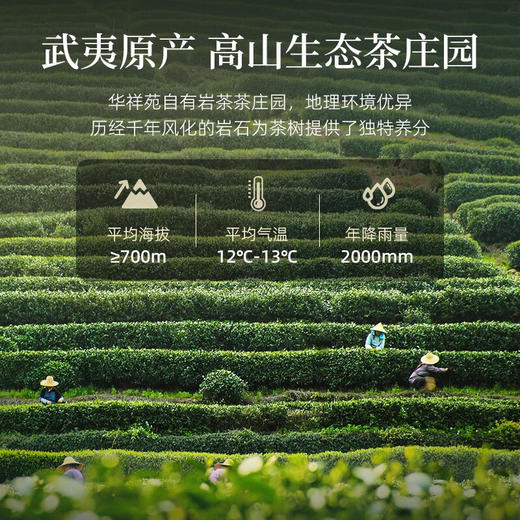 华祥苑 迎宾庄园茶 肉桂 罐装50g 商品图3