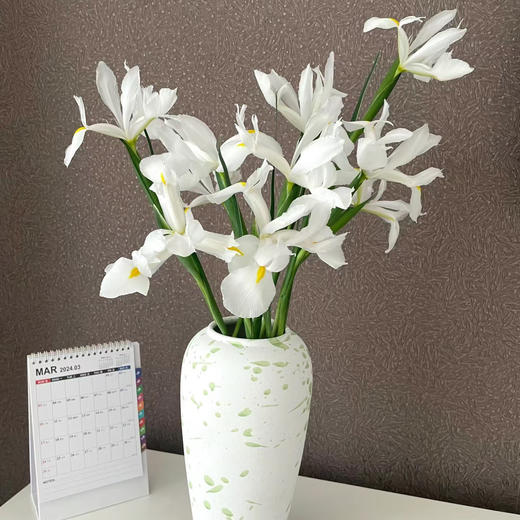 鸢尾丨白蝴蝶丨8-10支【高级感】 商品图1