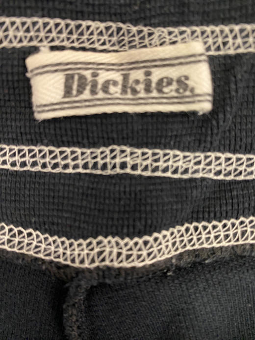Dickies 运动短裤_SSP(M) 商品图2