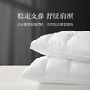 杞冠臻选 | 博洋生活 奢雅星级面包枕 48*74cm 抑菌枕头 单只 商品缩略图2