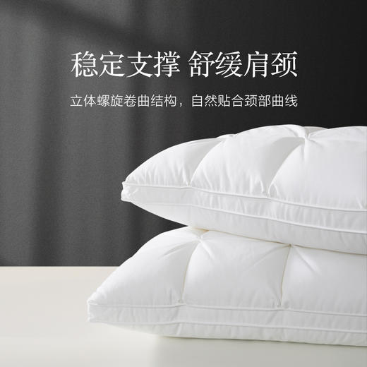 杞冠臻选 | 博洋生活 奢雅星级面包枕 48*74cm 抑菌枕头 单只 商品图2