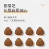 MAG鱼油卵磷脂 猫用350g/犬用450g 蛋黄美毛少掉毛 商品缩略图5