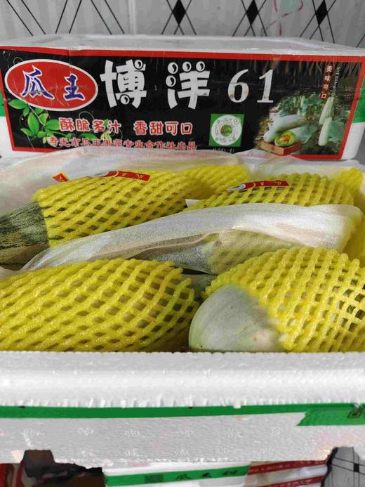 26.8元/件博洋61蜜瓜约2.8斤左右 商品图0