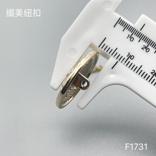 F1731 商品图6
