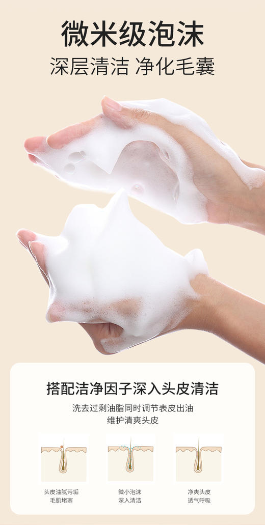 【Seagilon森之露 雪藻清爽去屑洗发水】控油蓬松  洗出蓬松感！去屑止痒 控油蓬松 深层净澈 清洁力强 呵护发根 商品图5