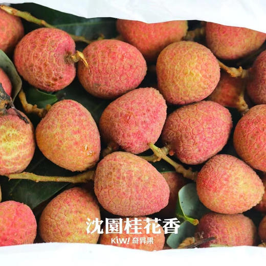空运桂花香荔枝 商品图2