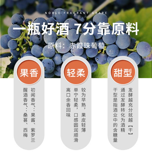 【中国农垦】西夏王 阳台系列-赤霞珠干红葡萄酒 750ml 女士低度微醺 商品图3