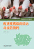 肉猪疾病临床诊治与规范用药 商品缩略图1