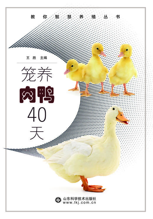 笼养肉鸭40天 商品图1