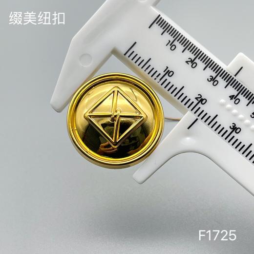 F1725 商品图4