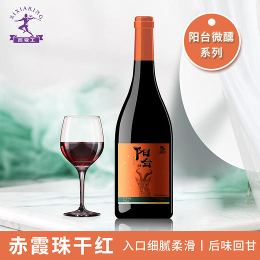【中国农垦】西夏王 阳台系列-赤霞珠干红葡萄酒 750ml 女士低度微醺 商品图0