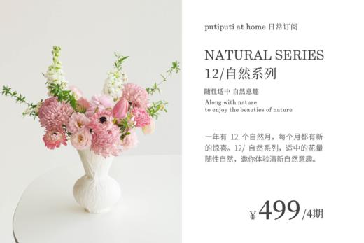 12 / 自然系列 Natural Series 商品图0
