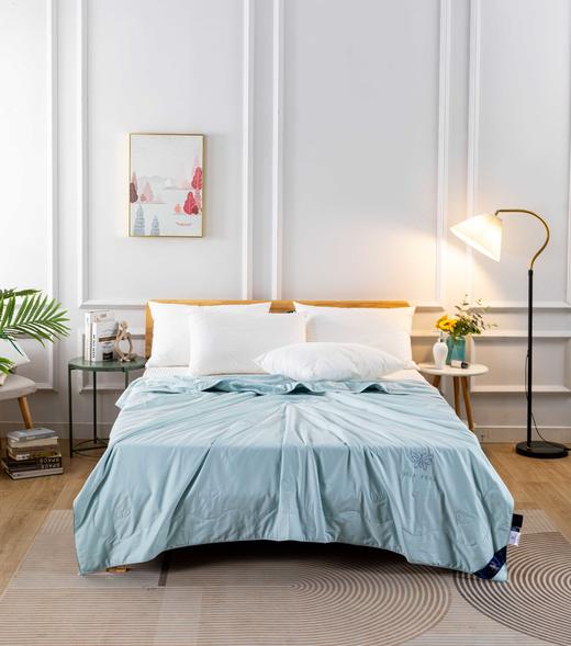 【远梦】纯蚕丝原生态夏被 商品图2