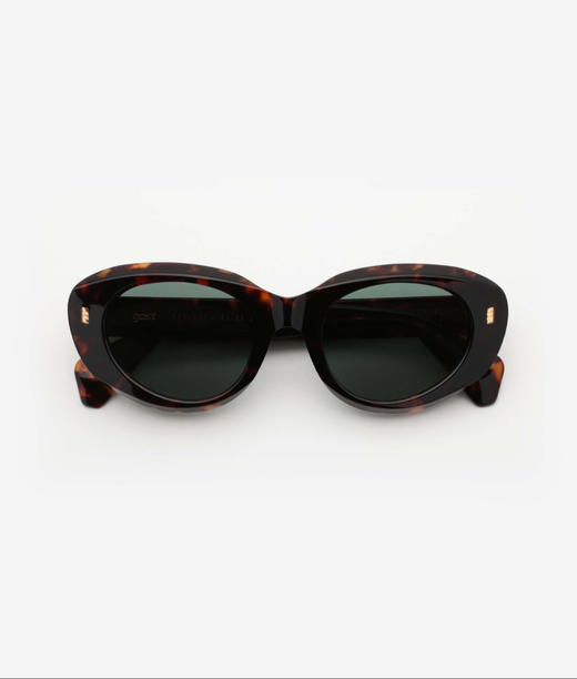 GAST ORBIT-classic havana 商品图1