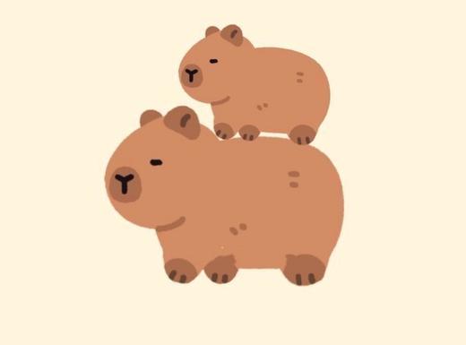 卡皮巴拉来了主题套餐 商品图3