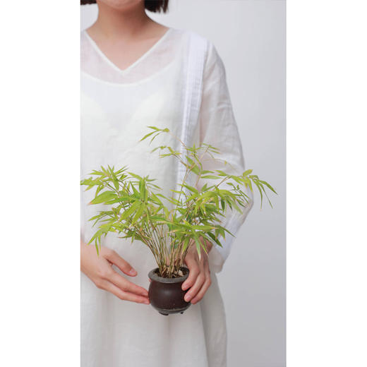 【线上专属】连衣裙（23707353-苎麻纱白） 商品图1