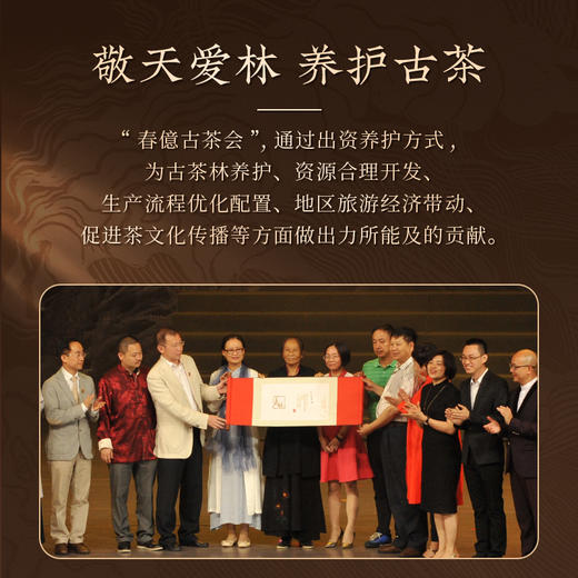 【回家之旅专享】2024年回家之旅纪念茶满春+0085小胖饼+001小胖饼+景迈春蕊+岩冷茶祖民族布袋景迈古树普洱茶春茶生茶熟茶散茶587g 商品图3