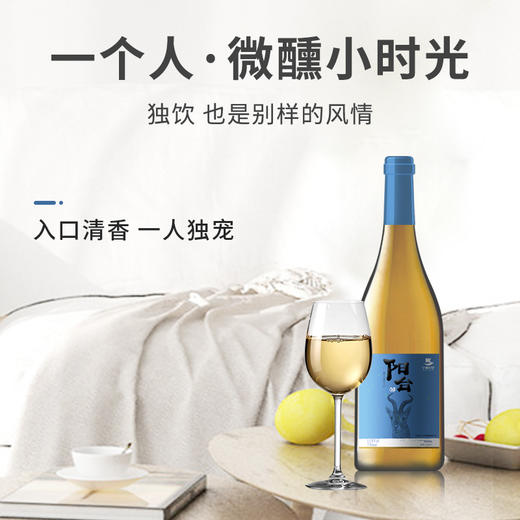 【中国农垦】西夏王 阳台系列-贵人香葡萄酒 女士低度甜酒微醺干白甜型 750ml 商品图4