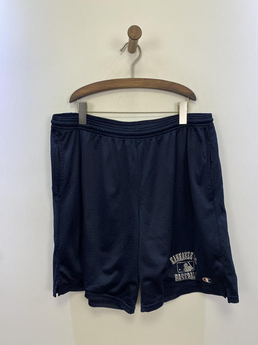 Champion 冠军 运动短裤_SSP(XL) 商品图0