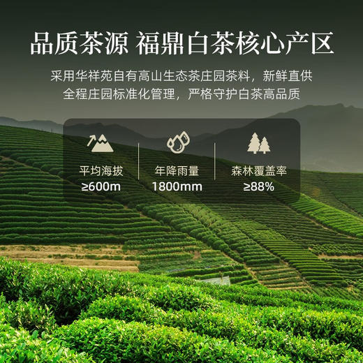 华祥苑 迎宾庄园茶 白茶 35g 商品图1