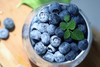 合作产品/有机蓝莓（4月20-22号开始排单发货） 商品缩略图0