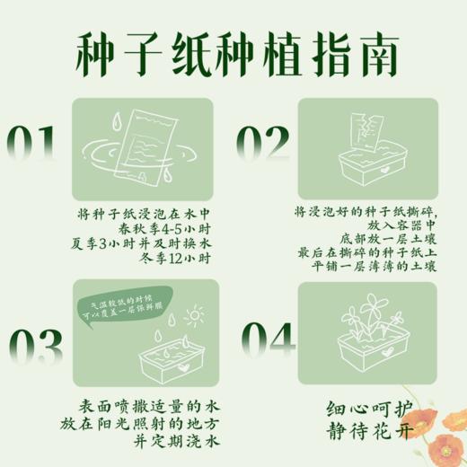 牛首山文创种福报种子纸手工加密种子纸混合型种户外踏青生日送礼 商品图5
