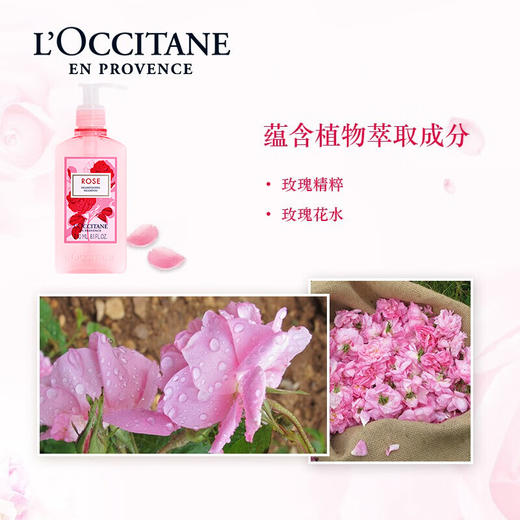 欧舒丹玫瑰之心洗发露240ml洗发水温和蓬松柔顺滋养清爽送男女友礼物 心选到家 商品图1