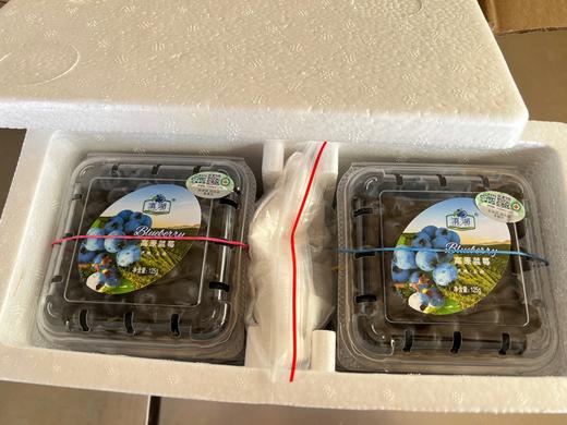 合作产品/有机蓝莓（4月20-22号开始排单发货） 商品图3