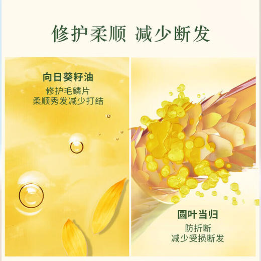 欧舒丹平衡韧/修护/纯净洗护发 替换装合集洗发水 500ml替换装 心选到家 商品图3