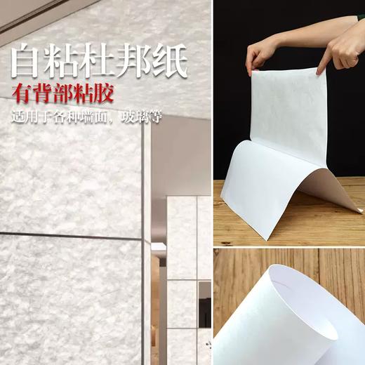 背胶国产杜邦纸 商品图0