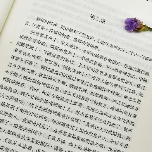 《人间失格+罗生门+我是猫+月亮与六便士+浮生六记》全5册 商品图3