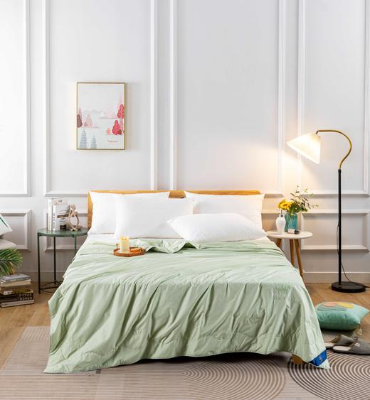 【远梦】纯蚕丝原生态夏被 商品图1