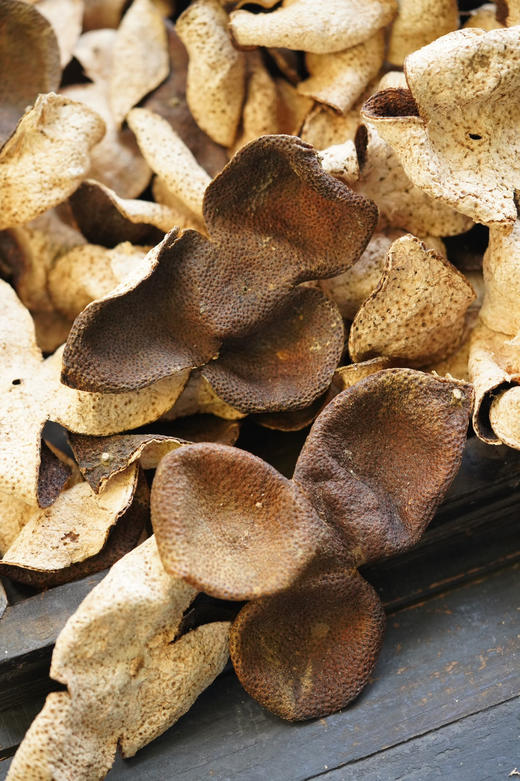 2018新会梅江产区大红皮半斤装 商品图2