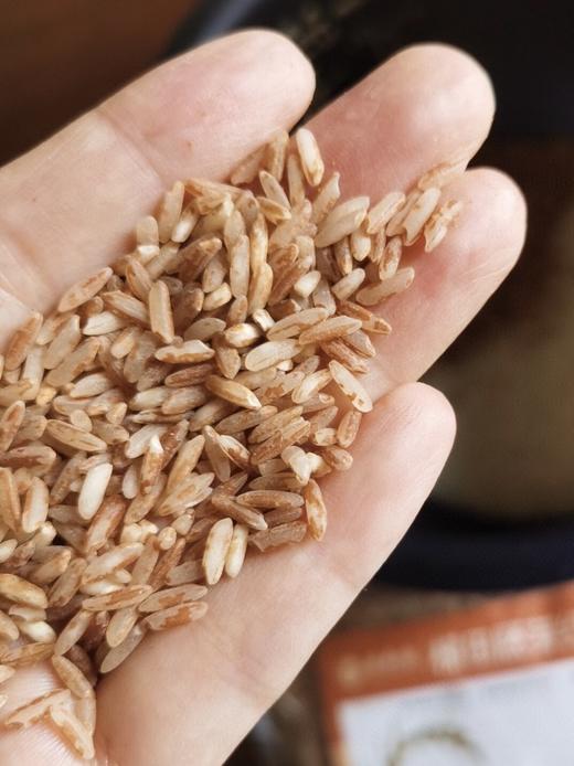 云南梯田古稻【梯田胭脂米】自带天然红曲素 色泽如琥珀 晶莹剔透 口感软香 好吃又营养 满满的花青素 适合女性食用的红米~ 商品图3