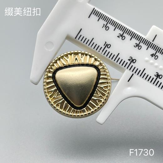 F1730 商品图5