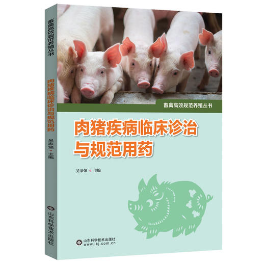 肉猪疾病临床诊治与规范用药 商品图0