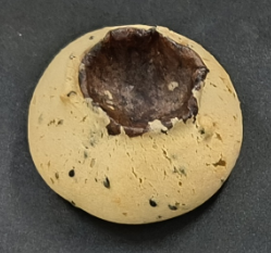 现烤黑糖凹麻薯