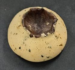 现烤黑糖凹麻薯 商品图0