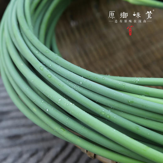 老品种长蒜薹/蒜苔（成都仓库-顺丰包邮）| 2、4斤装，来自峨眉山市，生产者：张书华【原乡峨眉山基地】 商品图0
