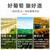 【中国农垦】西夏王 阳台系列-赤霞珠干红葡萄酒 750ml 女士低度微醺 商品缩略图1