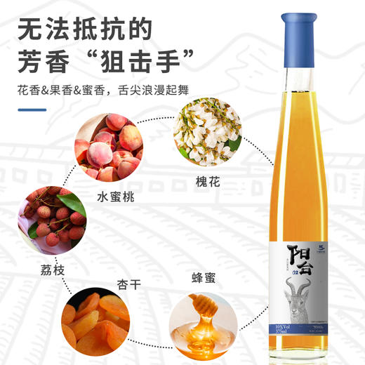 【中国农垦】西夏王 阳台系列-冰白葡萄酒 女士低度甜酒微醺冰白甜型冰酒 750ml 商品图2