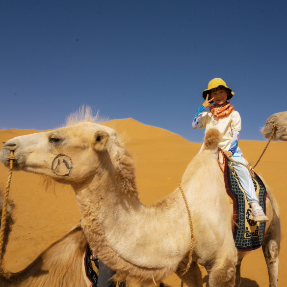 西北｜亲子轻奢沙漠越野＋轻徒步4天3晚，腾格里沙漠/西部影视城/线下版蚂蚁森林，一次玩个够！