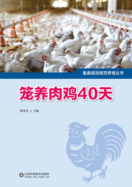 笼养肉鸡40天 商品图1