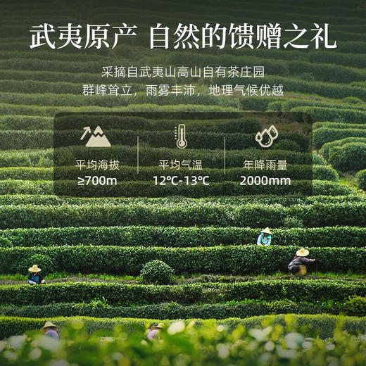 华祥苑 迎宾庄园茶 大红袍 罐装80g 商品图6