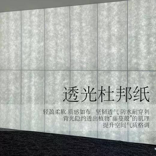 杜邦纸 商品图3